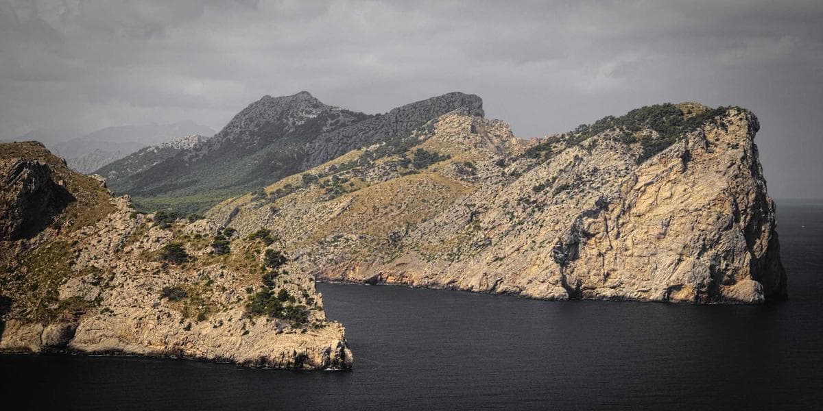 IPTV sur PC et Smartphone : Mobilité totale